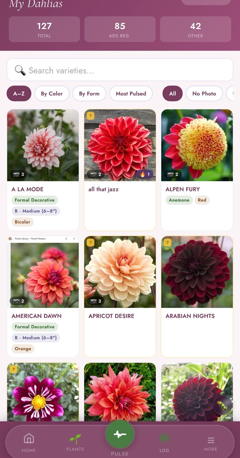 My Dahlias variety grid